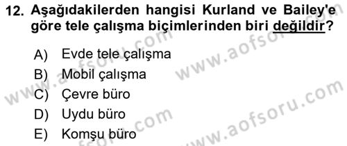 Çalışma Sosyolojisi Dersi 2018 - 2019 Yılı Yaz Okulu Sınav Soruları 12. Soru