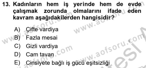 Çalışma Sosyolojisi Dersi 2018 - 2019 Yılı Yaz Okulu Sınav Soruları 13. Soru