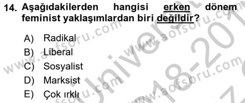 Çalışma Sosyolojisi Dersi 2018 - 2019 Yılı Yaz Okulu Sınav Soruları 14. Soru