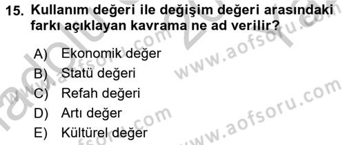 Çalışma Sosyolojisi Dersi 2018 - 2019 Yılı Yaz Okulu Sınav Soruları 15. Soru