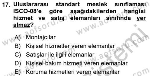 Çalışma Sosyolojisi Dersi 2018 - 2019 Yılı Yaz Okulu Sınav Soruları 17. Soru