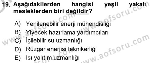 Çalışma Sosyolojisi Dersi 2018 - 2019 Yılı Yaz Okulu Sınav Soruları 19. Soru