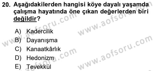 Çalışma Sosyolojisi Dersi 2018 - 2019 Yılı Yaz Okulu Sınav Soruları 20. Soru