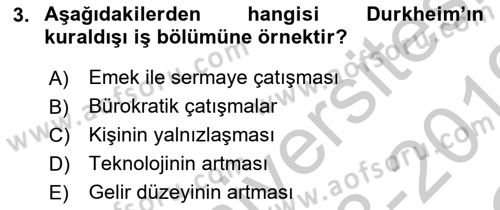 Çalışma Sosyolojisi Dersi 2018 - 2019 Yılı Yaz Okulu Sınav Soruları 3. Soru