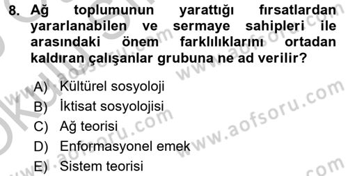 Çalışma Sosyolojisi Dersi 2018 - 2019 Yılı Yaz Okulu Sınav Soruları 8. Soru