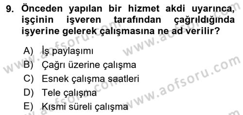 Çalışma Sosyolojisi Dersi 2018 - 2019 Yılı Yaz Okulu Sınav Soruları 9. Soru