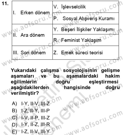 Çalışma Sosyolojisi Dersi 2019 - 2020 Yılı (Vize) Ara Sınavı 11. Soru