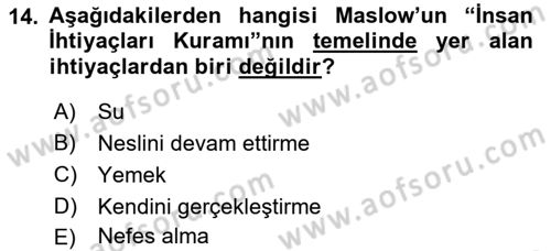 Çalışma Sosyolojisi Dersi 2019 - 2020 Yılı (Vize) Ara Sınavı 14. Soru