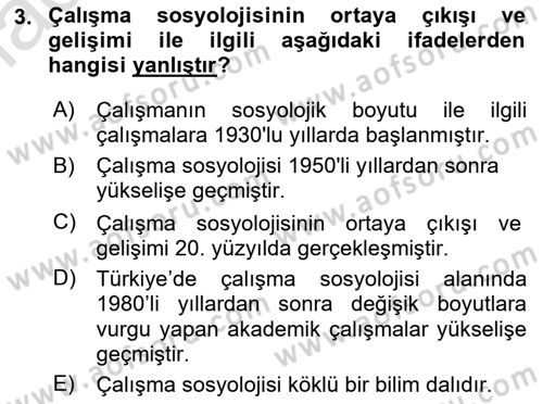 Çalışma Sosyolojisi Dersi 2019 - 2020 Yılı (Vize) Ara Sınavı 3. Soru