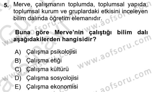 Çalışma Sosyolojisi Dersi 2019 - 2020 Yılı (Vize) Ara Sınavı 5. Soru