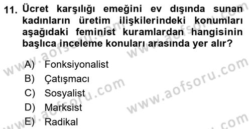 Çalışma Sosyolojisi Dersi 2019 - 2020 Yılı (Final) Dönem Sonu Sınav Soruları 11. Soru
