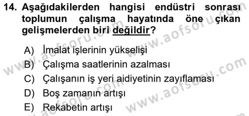 Çalışma Sosyolojisi Dersi 2019 - 2020 Yılı (Final) Dönem Sonu Sınav Soruları 14. Soru