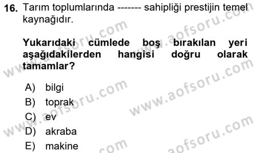 Çalışma Sosyolojisi Dersi 2019 - 2020 Yılı (Final) Dönem Sonu Sınav Soruları 16. Soru