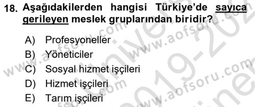 Çalışma Sosyolojisi Dersi 2019 - 2020 Yılı (Final) Dönem Sonu Sınav Soruları 18. Soru