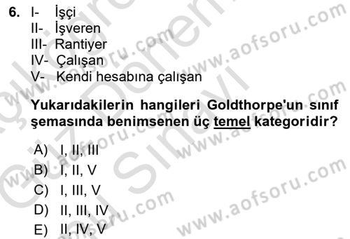 Çalışma Sosyolojisi Dersi 2019 - 2020 Yılı (Final) Dönem Sonu Sınav Soruları 6. Soru