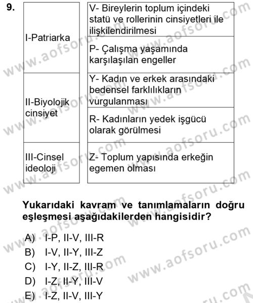 Çalışma Sosyolojisi Dersi 2019 - 2020 Yılı (Final) Dönem Sonu Sınav Soruları 9. Soru
