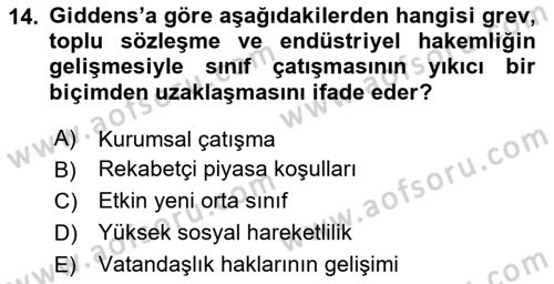 Çalışma Sosyolojisi Dersi 2020 - 2021 Yılı Yaz Okulu Sınav Soruları 14. Soru