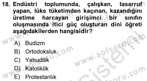 Çalışma Sosyolojisi Dersi 2020 - 2021 Yılı Yaz Okulu Sınav Soruları 18. Soru