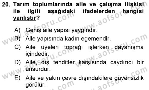 Çalışma Sosyolojisi Dersi 2020 - 2021 Yılı Yaz Okulu Sınav Soruları 20. Soru