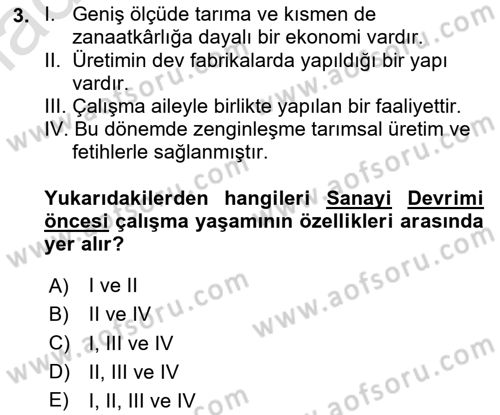 Çalışma Sosyolojisi Dersi 2020 - 2021 Yılı Yaz Okulu Sınav Soruları 3. Soru