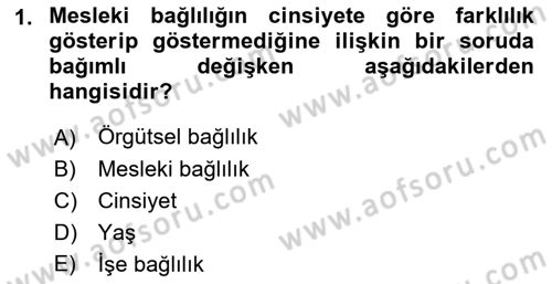 Çalışma Sosyolojisi Dersi 2021 - 2022 Yılı (Vize) Ara Sınavı 1. Soru