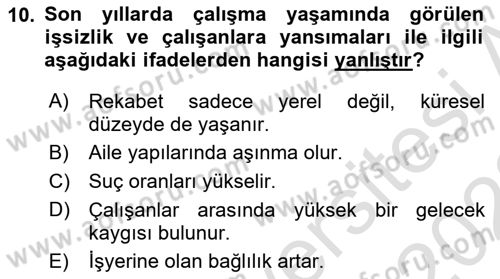 Çalışma Sosyolojisi Dersi 2021 - 2022 Yılı (Vize) Ara Sınavı 10. Soru