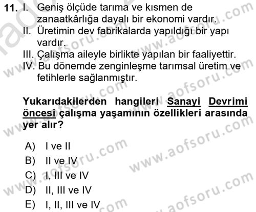 Çalışma Sosyolojisi Dersi 2021 - 2022 Yılı (Vize) Ara Sınavı 11. Soru