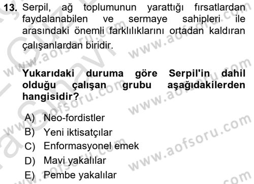 Çalışma Sosyolojisi Dersi 2021 - 2022 Yılı (Vize) Ara Sınav Soruları 13. Soru