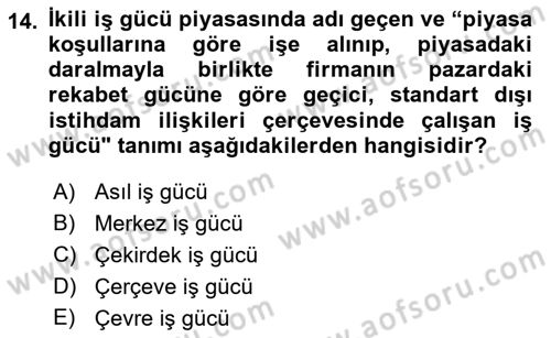 Çalışma Sosyolojisi Dersi 2021 - 2022 Yılı (Vize) Ara Sınavı 14. Soru