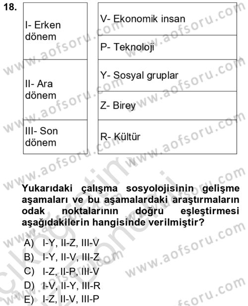 Çalışma Sosyolojisi Dersi 2021 - 2022 Yılı (Vize) Ara Sınavı 18. Soru