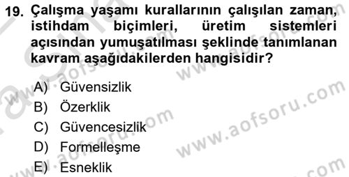 Çalışma Sosyolojisi Dersi 2021 - 2022 Yılı (Vize) Ara Sınavı 19. Soru