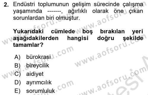 Çalışma Sosyolojisi Dersi 2021 - 2022 Yılı (Vize) Ara Sınavı 2. Soru