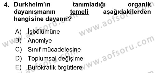 Çalışma Sosyolojisi Dersi 2021 - 2022 Yılı (Vize) Ara Sınavı 4. Soru