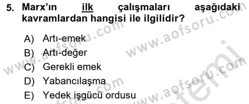 Çalışma Sosyolojisi Dersi 2021 - 2022 Yılı (Vize) Ara Sınavı 5. Soru