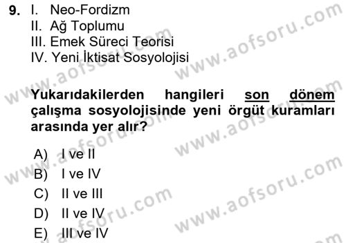 Çalışma Sosyolojisi Dersi 2021 - 2022 Yılı (Vize) Ara Sınavı 9. Soru