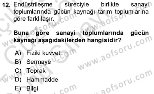 Çalışma Sosyolojisi Dersi 2021 - 2022 Yılı (Final) Dönem Sonu Sınavı 12. Soru