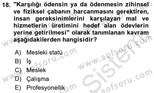 Çalışma Sosyolojisi Dersi 2021 - 2022 Yılı (Final) Dönem Sonu Sınavı 18. Soru