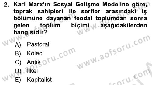 Çalışma Sosyolojisi Dersi 2021 - 2022 Yılı (Final) Dönem Sonu Sınavı 2. Soru