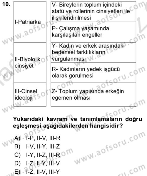 Çalışma Sosyolojisi Dersi 2021 - 2022 Yılı Yaz Okulu Sınavı 10. Soru