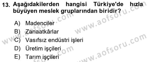 Çalışma Sosyolojisi Dersi 2021 - 2022 Yılı Yaz Okulu Sınavı 13. Soru