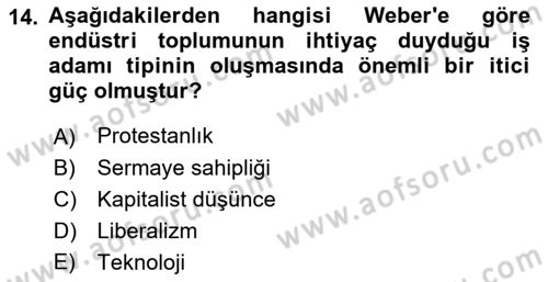 Çalışma Sosyolojisi Dersi 2021 - 2022 Yılı Yaz Okulu Sınavı 14. Soru