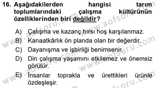 Çalışma Sosyolojisi Dersi 2021 - 2022 Yılı Yaz Okulu Sınavı 16. Soru