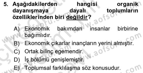 Çalışma Sosyolojisi Dersi 2021 - 2022 Yılı Yaz Okulu Sınavı 5. Soru