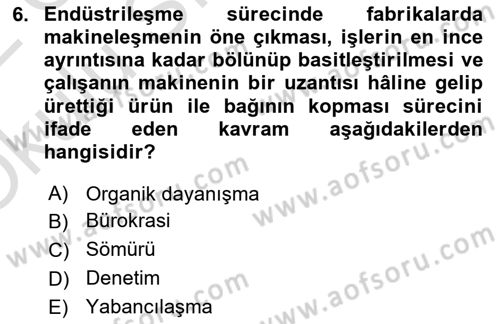 Çalışma Sosyolojisi Dersi 2021 - 2022 Yılı Yaz Okulu Sınavı 6. Soru