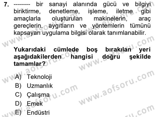 Çalışma Sosyolojisi Dersi 2021 - 2022 Yılı Yaz Okulu Sınavı 7. Soru