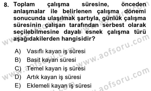 Çalışma Sosyolojisi Dersi 2021 - 2022 Yılı Yaz Okulu Sınavı 8. Soru