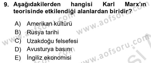 Çalışma Sosyolojisi Dersi 2021 - 2022 Yılı Yaz Okulu Sınavı 9. Soru