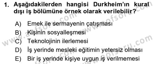 Çalışma Sosyolojisi Dersi 2022 - 2023 Yılı (Vize) Ara Sınavı 1. Soru