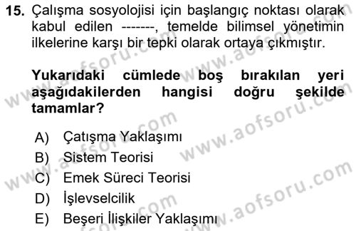 Çalışma Sosyolojisi Dersi 2022 - 2023 Yılı (Vize) Ara Sınavı 15. Soru