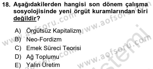 Çalışma Sosyolojisi Dersi 2022 - 2023 Yılı (Vize) Ara Sınavı 18. Soru